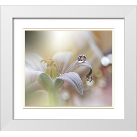 Tears Of Time.. White Modern Wood Framed Art Print with Double Matting by Nan, Juliana