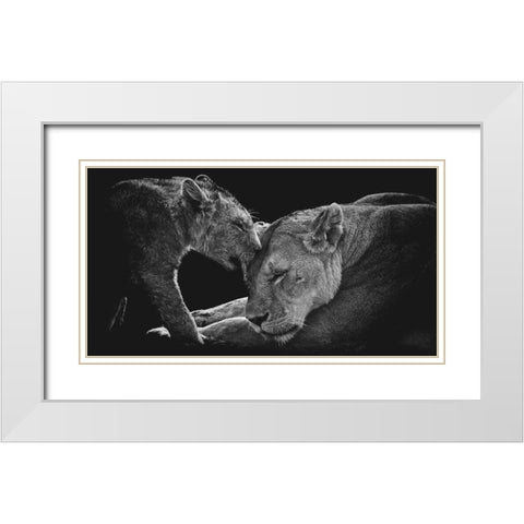 Lion Family White Modern Wood Framed Art Print with Double Matting by Vidak, Vedran