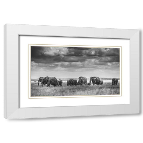 Elephant Family White Modern Wood Framed Art Print with Double Matting by Vidak, Vedran