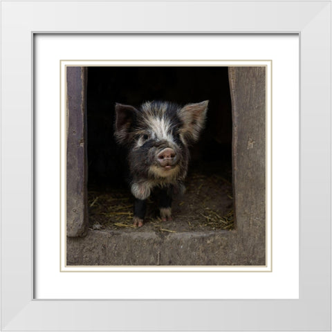 Please-Come In! White Modern Wood Framed Art Print with Double Matting by Van Den, Gert