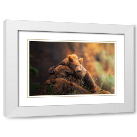 Bear Portrait White Modern Wood Framed Art Print with Double Matting by Saavedra Ruiz, Sergio