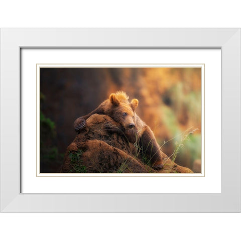 Bear Portrait White Modern Wood Framed Art Print with Double Matting by Saavedra Ruiz, Sergio