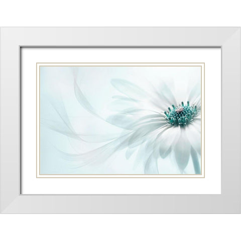 Purity White Modern Wood Framed Art Print with Double Matting by Parker, Jacky