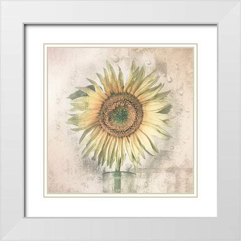 Sunflower White Modern Wood Framed Art Print with Double Matting by Kaufmann, Kerstin