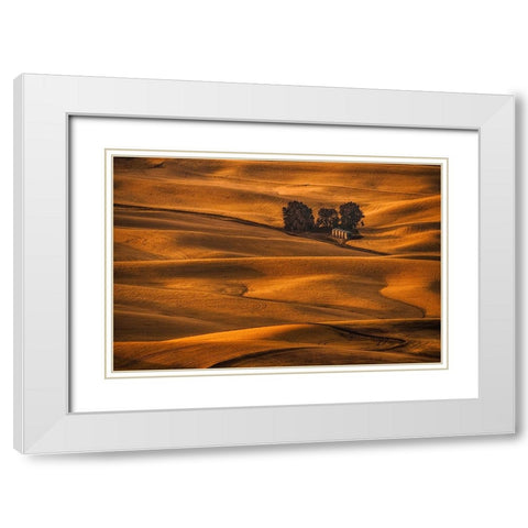 Golden Field White Modern Wood Framed Art Print with Double Matting by Jacobs, Lydia