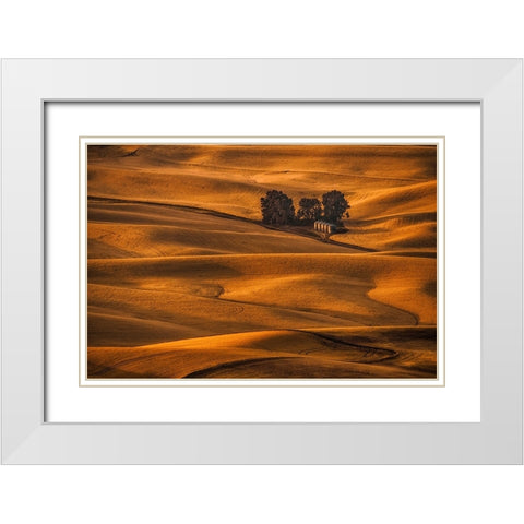 Golden Field White Modern Wood Framed Art Print with Double Matting by Jacobs, Lydia