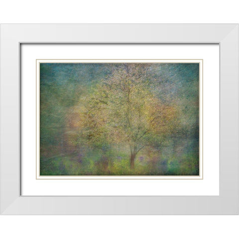 Impressions Of A Tree White Modern Wood Framed Art Print with Double Matting by Holmstrom, Katarina