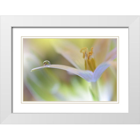 Sunbeam.. White Modern Wood Framed Art Print with Double Matting by Nan, Juliana