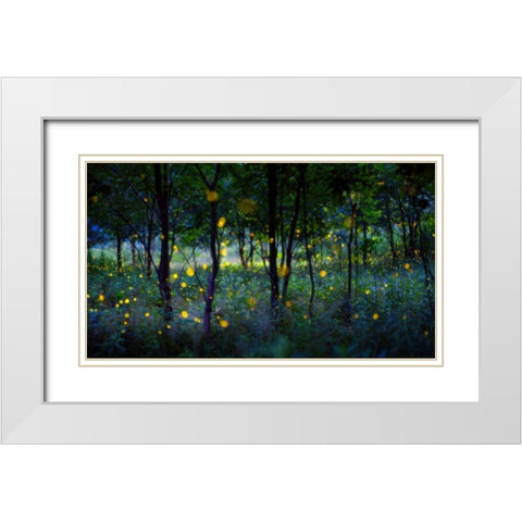 Magic Fireflies White Modern Wood Framed Art Print with Double Matting by Zhu, Hua