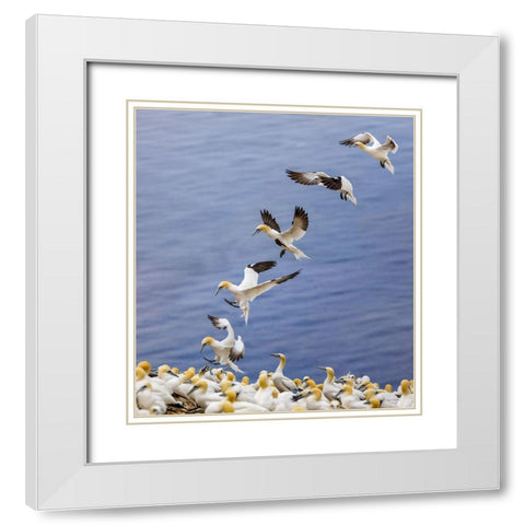 Back Home.... White Modern Wood Framed Art Print with Double Matting by Jiang, Yi