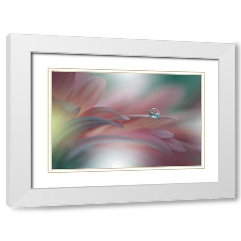 Sunbeam..Ii White Modern Wood Framed Art Print with Double Matting by Nan, Juliana