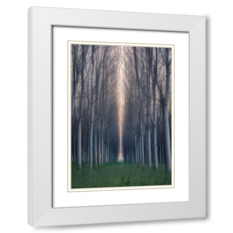 Moment Of Silence White Modern Wood Framed Art Print with Double Matting by Zhu, Jingshu