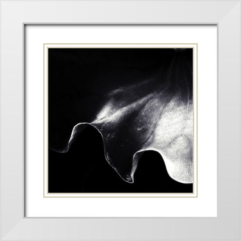 A Kiss Of Light White Modern Wood Framed Art Print with Double Matting by Flour, Piet