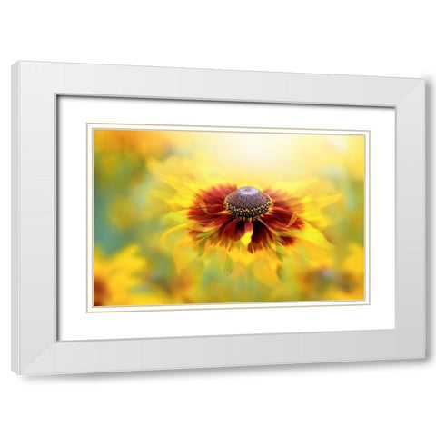 Autumn Glow White Modern Wood Framed Art Print with Double Matting by Parker, Jacky