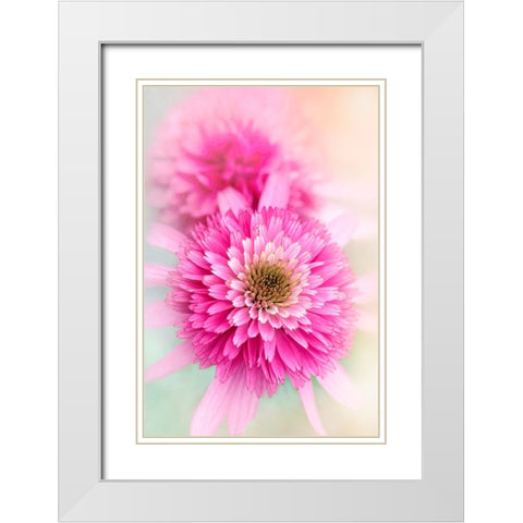 Summer Spirit White Modern Wood Framed Art Print with Double Matting by Parker, Jacky