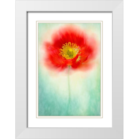 Sprite White Modern Wood Framed Art Print with Double Matting by Parker, Jacky