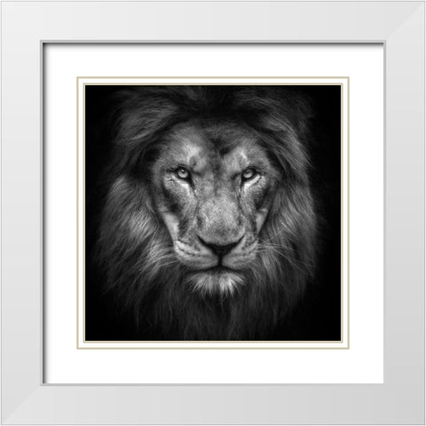 Face White Modern Wood Framed Art Print with Double Matting by Itoyama, Eiji