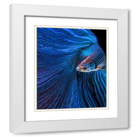 Blue Moon White Modern Wood Framed Art Print with Double Matting by Halil, Andi