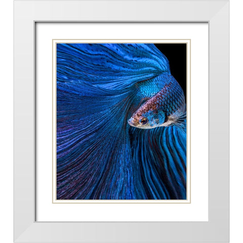 Blue Moon White Modern Wood Framed Art Print with Double Matting by Halil, Andi