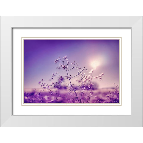 Winter Symphony White Modern Wood Framed Art Print with Double Matting by Menhard, Ingo