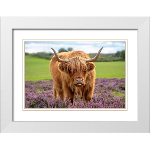 Highland White Modern Wood Framed Art Print with Double Matting by Parker, Jacky