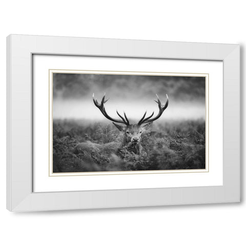 Vvv White Modern Wood Framed Art Print with Double Matting by Fabrowski, Robert