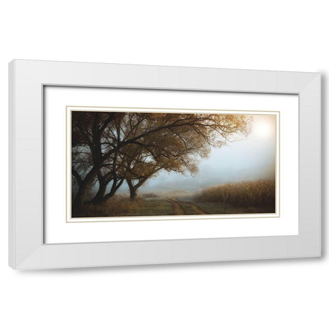 October Morning White Modern Wood Framed Art Print with Double Matting by Hoandra, Nicu