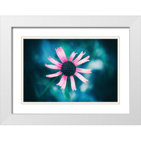 Pinky White Modern Wood Framed Art Print with Double Matting by Menhard, Ingo