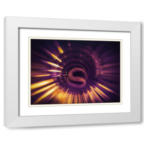 Pro Sun White Modern Wood Framed Art Print with Double Matting by Menhard, Ingo