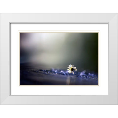 Twilight White Modern Wood Framed Art Print with Double Matting by Zahirimehr, Maryam
