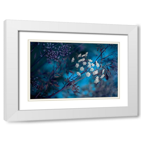 Queen AnneS Lace White Modern Wood Framed Art Print with Double Matting by Parker, Jacky