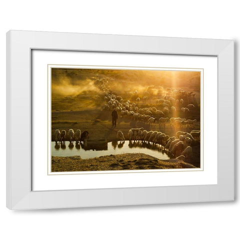 Shepherd White Modern Wood Framed Art Print with Double Matting by Tunc, Feyzullah