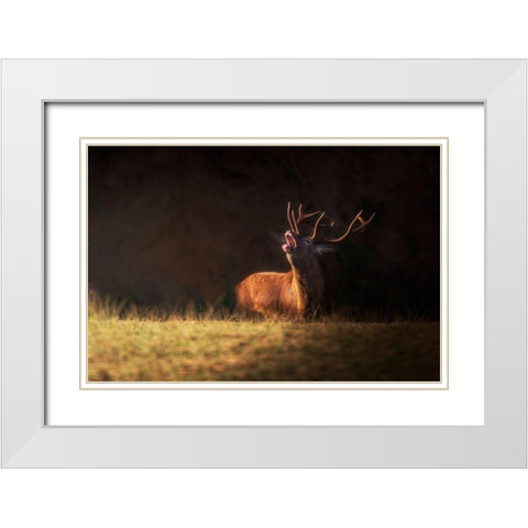 The Deers Zeal White Modern Wood Framed Art Print with Double Matting by Saavedra Ruiz, Sergio