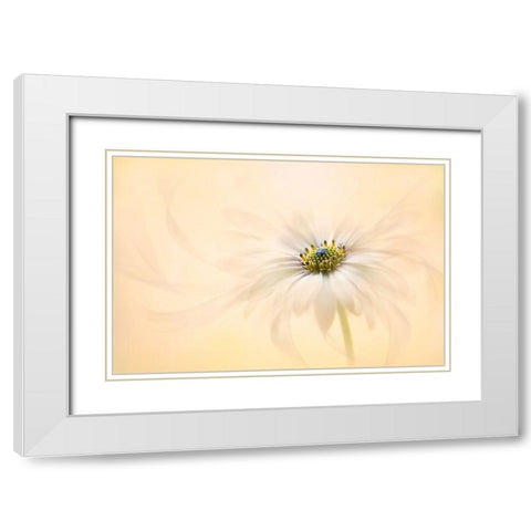 Melody White Modern Wood Framed Art Print with Double Matting by Parker, Jacky