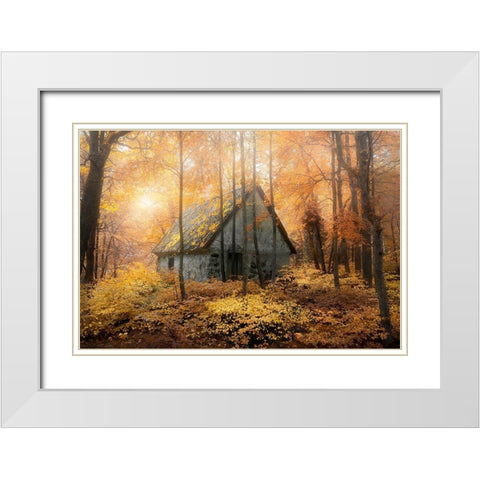 House In The Forest During Fallseason White Modern Wood Framed Art Print with Double Matting by Lindsten, Christian