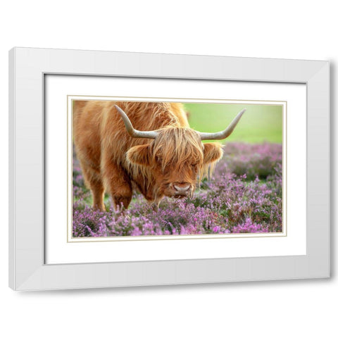 Highland In Heather White Modern Wood Framed Art Print with Double Matting by Parker, Jacky