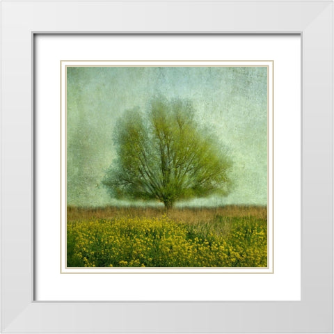 In The Yellow Field White Modern Wood Framed Art Print with Double Matting by van Bijnen, Jacqueline