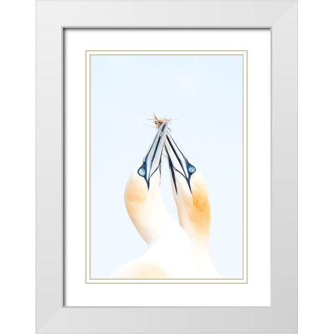 Gannets in love White Modern Wood Framed Art Print with Double Matting by Jimenez, Inigo