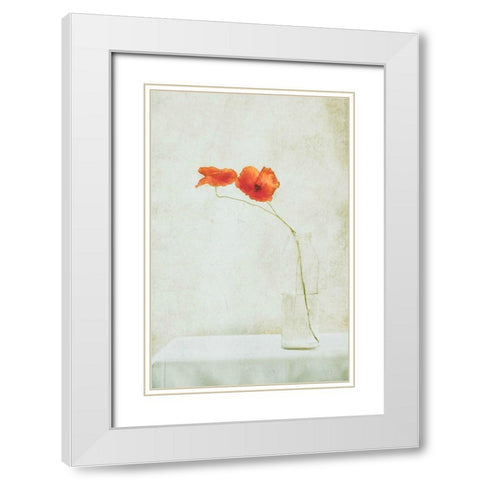 Two Poppies In A Bottle White Modern Wood Framed Art Print with Double Matting by Devos, Delphine
