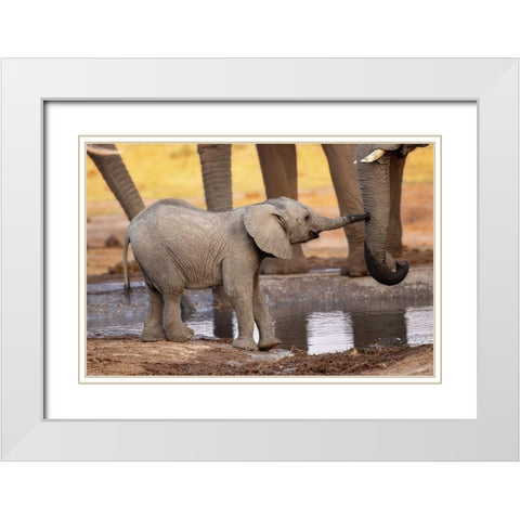 Play With Me-Please! White Modern Wood Framed Art Print with Double Matting by Catta, Alessandro