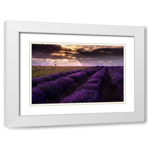 Between Flowers White Modern Wood Framed Art Print with Double Matting by Concepcion Alvarado, Jesus