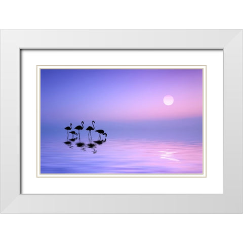 Morning Flamingo White Modern Wood Framed Art Print with Double Matting by Hamiti, Bess
