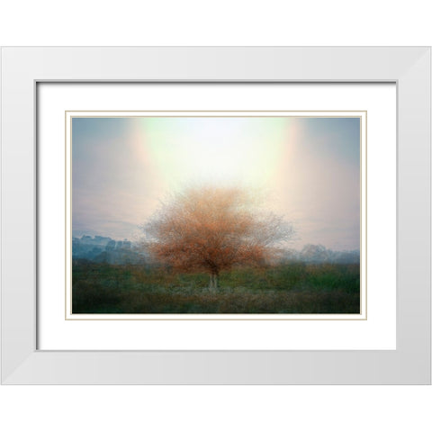Mirage White Modern Wood Framed Art Print with Double Matting by Holmstrom, Katarina