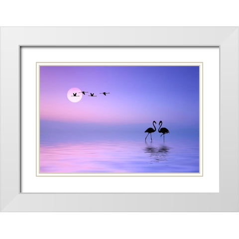 Flying Flamingo White Modern Wood Framed Art Print with Double Matting by Hamiti, Bess