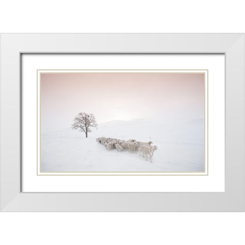Flock Looking For Food White Modern Wood Framed Art Print with Double Matting by Z, Bingo