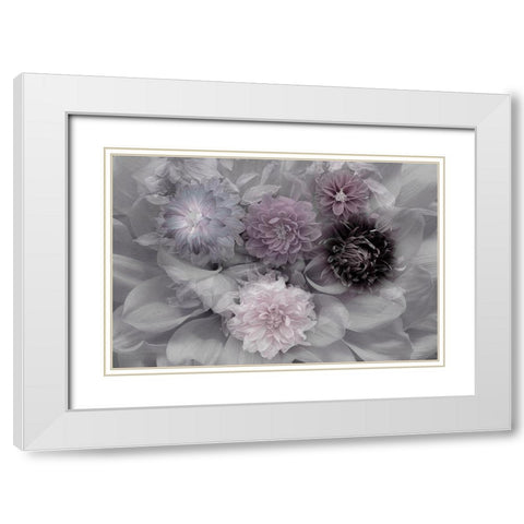 Dahlia Dream White Modern Wood Framed Art Print with Double Matting by Schuster, Inge