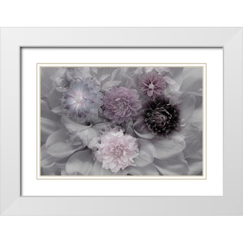 Dahlia Dream White Modern Wood Framed Art Print with Double Matting by Schuster, Inge