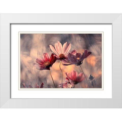 The Three Sisters White Modern Wood Framed Art Print with Double Matting by Bravin, Fabien