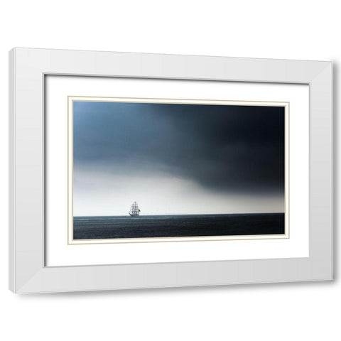 Cisne Branco White Modern Wood Framed Art Print with Double Matting by Drijfhamer, Ton