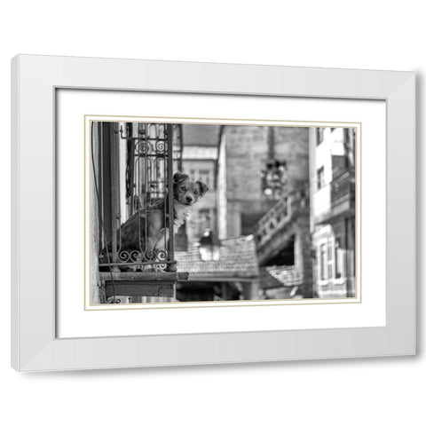 Untitled White Modern Wood Framed Art Print with Double Matting by Carlos, KK